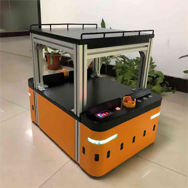 نوع المنصة ذات الاتجاهين AGV